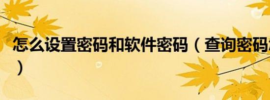 怎么设置密码和软件密码（查询密码怎么设置）