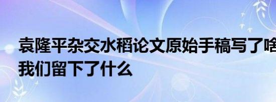 袁隆平杂交水稻论文原始手稿写了啥 袁老给我们留下了什么