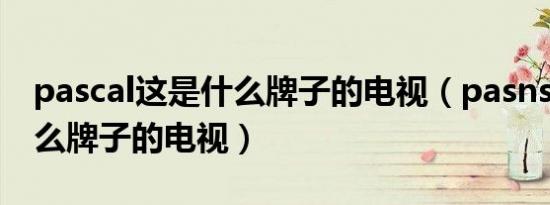pascal这是什么牌子的电视（pasnsaio是什么牌子的电视）