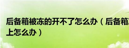 后备箱被冻的开不了怎么办（后备箱冻了关不上怎么办）