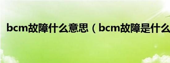 bcm故障什么意思（bcm故障是什么意思）
