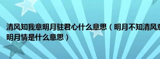 清风知我意明月驻君心什么意思（明月不知清风意 清风怎懂明月情是什么意思）