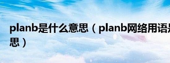 planb是什么意思（planb网络用语是什么意思）