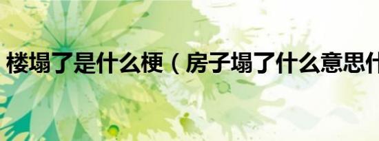 楼塌了是什么梗（房子塌了什么意思什么梗）