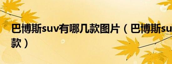 巴博斯suv有哪几款图片（巴博斯suv有哪几款）