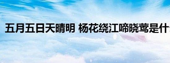 五月五日天晴明 杨花绕江啼晓莺是什么节日