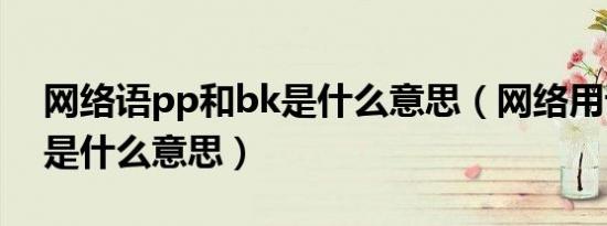 网络语pp和bk是什么意思（网络用语bkpp是什么意思）