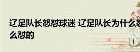 辽足队长怒怼球迷 辽足队长为什么怼球迷怎么怼的