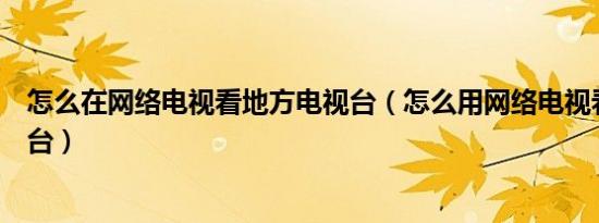 怎么在网络电视看地方电视台（怎么用网络电视看地方电视台）