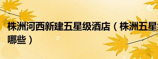 株洲河西新建五星级酒店（株洲五星级酒店有哪些）