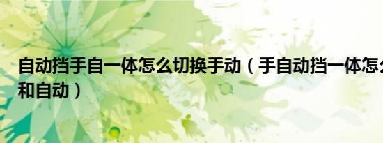 自动挡手自一体怎么切换手动（手自动挡一体怎么切换手动和自动）