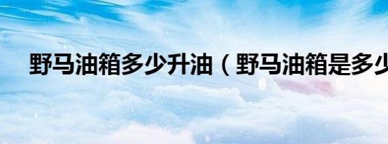 野马油箱多少升油（野马油箱是多少升）