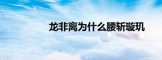 龙非离为什么腰斩璇玑