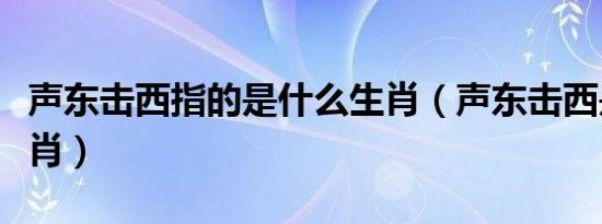 声东击西指的是什么生肖（声东击西是什么生肖）