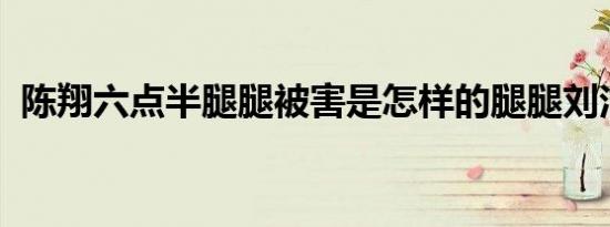 陈翔六点半腿腿被害是怎样的腿腿刘洁是谁