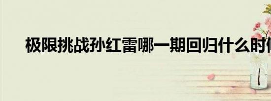极限挑战孙红雷哪一期回归什么时候播