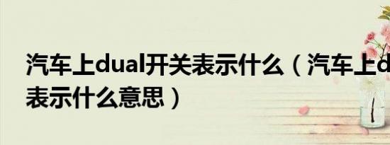 汽车上dual开关表示什么（汽车上dual开关表示什么意思）