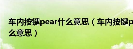 车内按键pear什么意思（车内按键pear是什么意思）