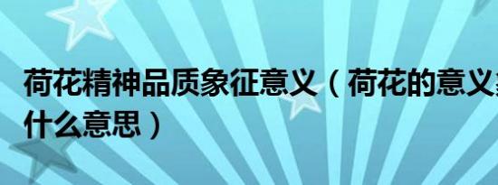 荷花精神品质象征意义（荷花的意义象征着是什么意思）