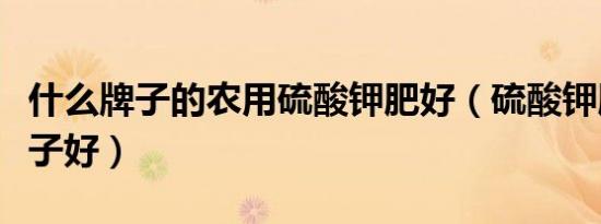 什么牌子的农用硫酸钾肥好（硫酸钾肥什么牌子好）