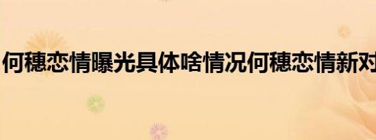 何穗恋情曝光具体啥情况何穗恋情新对象是谁