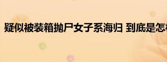 疑似被装箱抛尸女子系海归 到底是怎样的呢