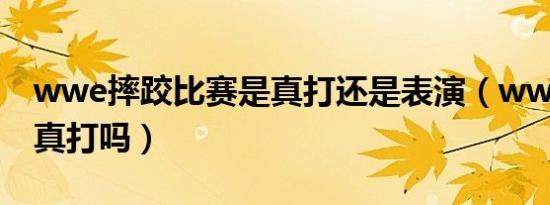 wwe摔跤比赛是真打还是表演（wwe比赛是真打吗）