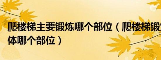 爬楼梯主要锻炼哪个部位（爬楼梯锻炼的是身体哪个部位）
