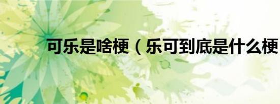 可乐是啥梗（乐可到底是什么梗）