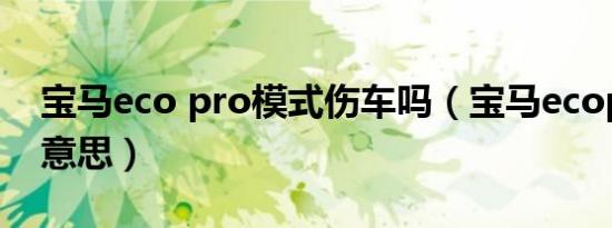 宝马eco pro模式伤车吗（宝马ecopro什么意思）