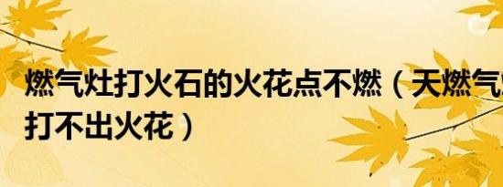 燃气灶打火石的火花点不燃（天燃气灶打火石打不出火花）