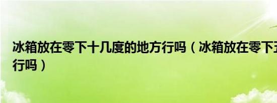 冰箱放在零下十几度的地方行吗（冰箱放在零下五度的室内行吗）