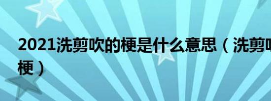 2021洗剪吹的梗是什么意思（洗剪吹是什么梗）