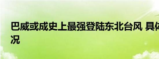 巴威或成史上最强登陆东北台风 具体是啥情况
