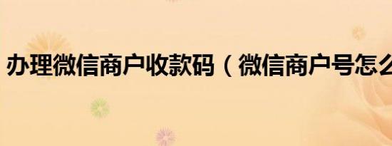 办理微信商户收款码（微信商户号怎么查询）