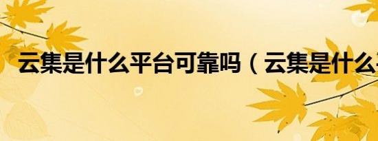 云集是什么平台可靠吗（云集是什么平台）