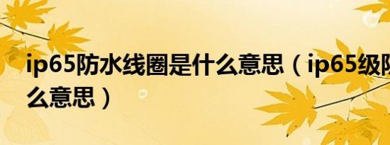 ip65防水线圈是什么意思（ip65级防水是什么意思）