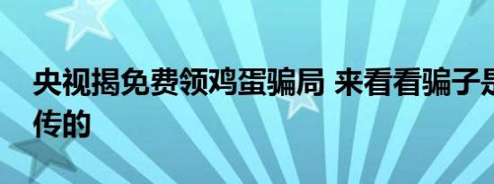 央视揭免费领鸡蛋骗局 来看看骗子是如何宣传的