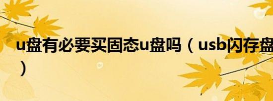 u盘有必要买固态u盘吗（usb闪存盘是u盘吗）