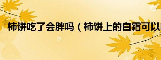 柿饼吃了会胖吗（柿饼上的白霜可以吃吗）