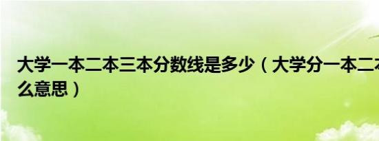 大学一本二本三本分数线是多少（大学分一本二本三本是什么意思）