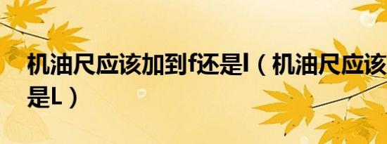 机油尺应该加到f还是l（机油尺应该加到F还是L）