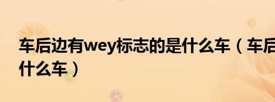 车后边有wey标志的是什么车（车后标WEY什么车）