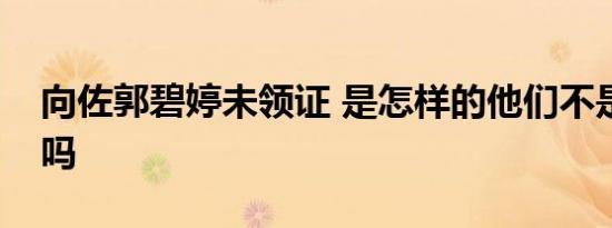 向佐郭碧婷未领证 是怎样的他们不是结婚了吗