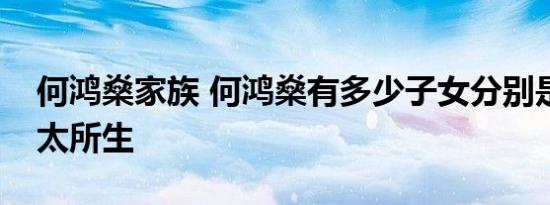 何鸿燊家族 何鸿燊有多少子女分别是哪个太太所生