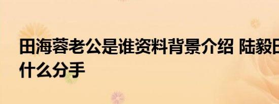 田海蓉老公是谁资料背景介绍 陆毅田海蓉为什么分手