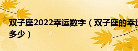 双子座2022幸运数字（双子座的幸运数字是多少）