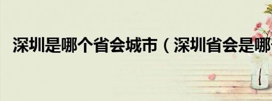 深圳是哪个省会城市（深圳省会是哪个省）