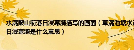 水满陂山衔落日浸寒漪描写的画面（草满池塘水满陂山衔落日浸寒漪是什么意思）