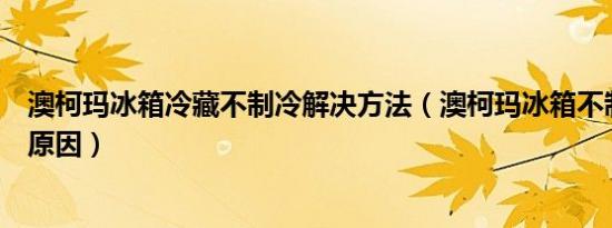 澳柯玛冰箱冷藏不制冷解决方法（澳柯玛冰箱不制冷是什么原因）